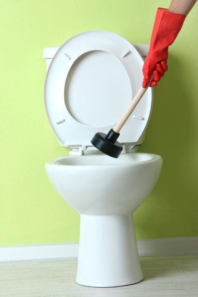 Clogged Toilet? Not Flushing Properly? Clogged Toilet? Not Flushing Properly?